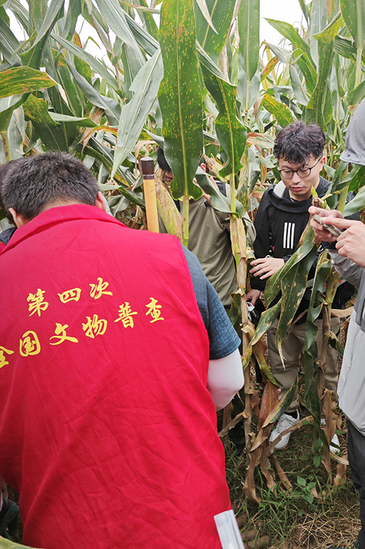 普查隊(duì)員正在使用探鏟進(jìn)行探測(cè)。中國(guó)文物報(bào)供圖